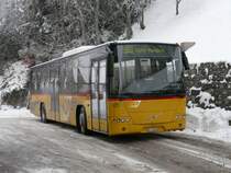 Postauto - Volvo 8700  AR 14859 unterwegs auf der Linie 230 bei der Postautohaltestelle hinter dem Bahnhof Trogen am 10.01.2010