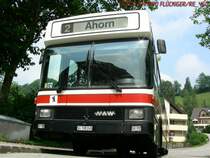 Noch einmal NAW/Hess Nr. 245 bei Bach St. Georgen, diesmal aus der Sicht des Preiserleins.