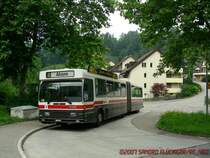 Auch der Prototyp Nr. 252 ist ein NAW/Hess. Die Front ist praktisch identisch mit den Saurer/Hess und das Heck gleicht - abgesehen von der Linienanzeige - den neueren NAW/Hess.