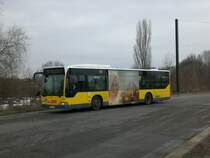 Mercedes-Benz O 530 I (Citaro) auf der Linie 294 nach Hohenschnhausen Marzahner Strae an der Haltestelle Falkenberg.