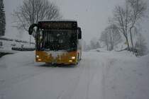 Im Weiler Obermaad in Gadmen ist im Winter Endstation fr jeglichen Strassenverkehr. Auch das neueste AVG-Postauto, MAN Nr. 75 aus 2009, hat gerade gewendet und wartet auf die Rckfahrt nach Innertkirchen. Davon, dass der Schneepflug vor weniger als einer halben Stunde die Strasse gerumt hat, ist nicht mehr viel zu sehen. 
