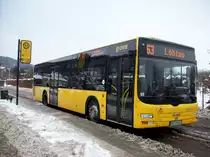 MAN Lion´s City - DD VB 621 in Dresden-Pillnitz, L.-da-Vinci-Stra�e (Jan 2010)