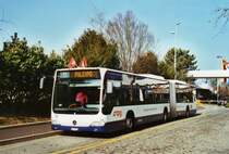 TPG Gen�ve Nr. 190/GE 960'626 Mercedes Citaro am 13. M�rz 2010 Gen�ve, Palexpo