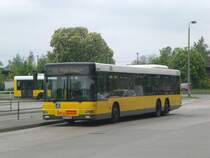 MAN Niederflurbus 2. Generation auf der Linie 195 nach Kaulsdorf Myslowitzer Strae am S-Bahnhof Marzahn.