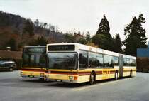 STI Thun Nr. 68/BE 458'568 MAN am 20. M�rz 2010 Thun, Schiffl�ndte