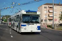 TL 745 Bl�cherette , 2010-04-28 .