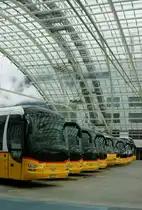 Alle Scheiben sind auf Hochglanz geputzt.
(12.05.2010)