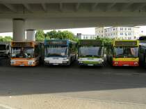 vBus Busse in Ludwigshafen:
NL202 (ex W�rzburg?), O405N1 (ex Heidelberg, HSB), O405N1 (ex Mannheim, MVG), NL202 (ex W�rzburg?)