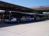 MB Citaro Nr.237 der RSAG Rostock an der Haltestelle HP L�tten Klein auf der Linie 31 unterwegs