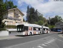 vbl Nr. 224 ''Neue Luzerner Zeitung'' (Hess Swisstrolley 3 BGT-N2C) am 22.5.2010 bei der Wartegg. Von den neuen Swisstrolleys erhielten die Wagen 223 und 224 ein Werbeanstrich, und sind per Zufall auch beide auf diesem Bild zu sehen.