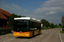 PU Steiner, Messen, BE 157'254 (Scania/Hess K280UB, 2010) am 19.5.2010 in Oberramsern.