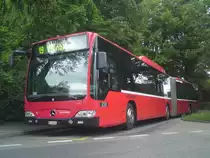 Mercedes Citaro CNG 850 an der Fr�hlingshaften Endstation Elfenau. 20.05.2010.