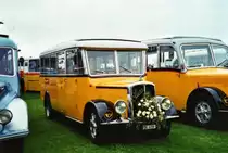 Arnold, Steinach SG 4159 Saurer/Hess (ex Burri, Teuffenthal) am 1. Mai 2010 Arbon, Arbon Classics