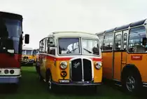 Schmid, Th�rishaus BE 26'760 Saurer/Gangloff (ex Geiger, Adelboden Nr. 3) am 1. Mai 2010 Arbon, Arbon Classics