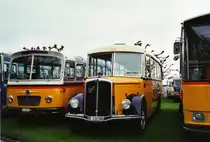 Schumacher, Liebefeld BE 136'580 Saurer/FHS-Hess (ex Keller, Hottwil) am 1. Mai 2010 Arbon, Arbon Classics