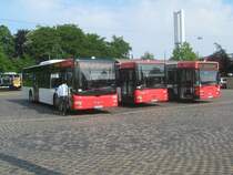 Hier noch einmal Die kleine Parade aus leicht vernderter Perspektive. 