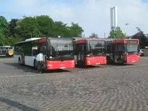 Hier noch einmal Die kleine Parade aus leicht ver�nderter Perspektive. 