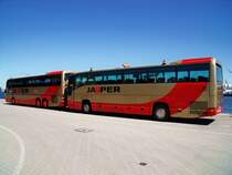 MB O 404 und Neoplan N316/3 SHD L (Jasper Wagen 73 + 75) in Kiel