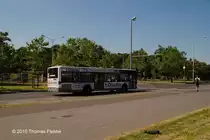 Mercedes Citaro im Braunschweig am 27.06.10