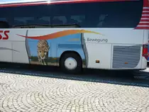 Ein sch�nes Bild auf dem Blaguss-Bus aus Wien/A