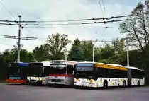 Bustag 2010 in Schaffhausen: Busparade beim Busdepot - TPG Gen�eve Nr. 379 Volvo; SB Schaffhausen Nr. 10/SH 12'510 Volvo (ex VBSH Schaffhausen Nr. 30 (Vorf�hrfahrzeug); SB Schaffhausen Nr. 9/SH 12'509 Volvo/Hess (ex ASS Schleitheim Nr. 9); SB Schaffhausen Nr. 3/SH 12'503 Mercedes Citaro am 16. Mai 2010 Schaffhausen, Busdepot
