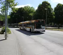 Mercedes Citaro, am 18.07.10 im Hamburg/ZOB