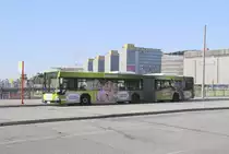 WG 7404 von Typ Citaro II, am 19. Juli 10 am Hauptbahnhof im Hamburg.