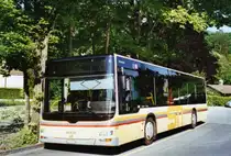 STI Thun Nr. 113/BE 700'113 MAN am 24. Mai 2010 Thun, Schiffl�ndte