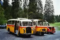 80 Jahre Postautostrecke auf die Griesalp: Schmid, Th�rishaus BE 26'760 Saurer/Gangloff (ex Geiger, Adelboden Nr. 3) und BE 26'105 Saurer/R&J (ex Geiger, Adelboden Nr. 9) und Gafner, Gwatt BE 26'724 Saurer/R&J (ex ASKA Aeschi Nr. 9) am 29. Mai 2010 Kiental, Tschingel
