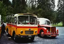 80 Jahre Postautostrecke auf die Griesalp: Schmid, Th�rishaus BE 26'105 Saurer/R&J (ex Geiger, Adelboden Nr. 9) und Gafner, Gwatt BE 26'724 Saurer/R&J (ex ASKA Aeschi Nr. 9) am 29. Mai 2010 Kiental, Tschingel