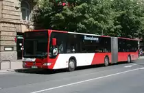 Rosenbaum (AC HR 2027).
Aachen Theaterplatz, 4.6.2010.