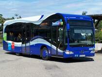 Citaro K Nr 01041 am 31/07/10.