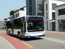 ZVB Zugerland - Mercedes Citaro Nr.210 ZG 9562 unterwegs in Cham am 20.08.2010