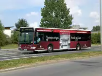 Mercedes-Benz O 530 II (Citaro Facelift) auf der Linie 6 nach Frohes Schaffen an der Haltestelle Strehlapark/Zoo.