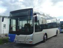 S�dwestbus MAN Lion's City M  MAX Bus , Bruchsal 11.04.2010 