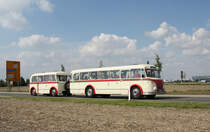 Der H6B mit Anhnger W701 der Halleschen Straenbahnfreunde bei einer Rundfahrt am 19.09.2010 in Schkeuditz.