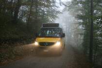 Jeden Sonntag von Mai bis Oktober fhrt der Sprinter BL 101'429 (2010) von PU Vgeli, Langenbruck, den so genannten Jurabus Balsthal-Brunnersberg und Welschenrohr-Tannmatt. Auch bei schlechtem Wetter, wie das neblige Bild vom 10.10.2010 zeigt... 
