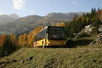 Die A22-Midibusse von GrindelwaldBus sind dreitrig. Im Sommer ist allerdings die hinterste Tr blockiert durch ein Wechselpodest mit zwei weiteren Sitzpltzen. Zwei Wechselpodeste beim mittleren Einstieg erhhen die Sitzzahl weiter, so dass die Busse gleich viele Sitze wie ein Hochflurbus bieten. Im Winter werden alle Wechselpodeste ausgebaut, die Wagen fahren dann als Skibusse. Aufnahme auf Bergfahrt am 9.10.2010, im Hintergrund der First. 