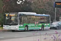 Lion´s City auf Fahrt nach Ehlershausen/Bahnhof am 14.10.2010.