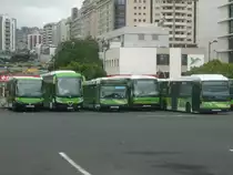 12.10.10,abgestellte TITSA-Busse am Busbahnhof Santa Cruz de Tenerife.