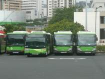 12.10.10,abgestellte TITSA-Busse am Busbahnhof Santa Cruz de Tenerife.