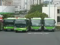 12.10.10,abgestellte TITSA-Busse am Busbahnhof Santa Cruz de Tenerife.