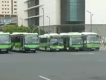 12.10.10,abgestellte TITSA-Busse am Busbahnhof Santa Cruz de Tenerife.
