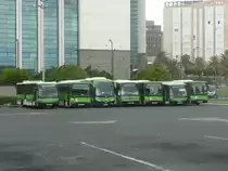 12.10.10,abgestellte TITSA-Busse am Busbahnhof Santa Cruz de Tenerife.