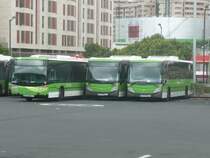 12.10.10,abgestellte TITSA-Busse am Busbahnhof Santa Cruz de Tenerife.