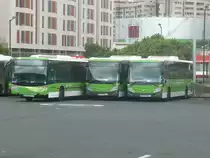 12.10.10,abgestellte TITSA-Busse am Busbahnhof Santa Cruz de Tenerife.