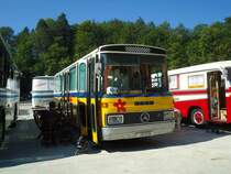 Reinhart, Selzach SO 157'658 Mercedes/T�scher am 22. August 2010 Thayngen, Wohnbustreffen
