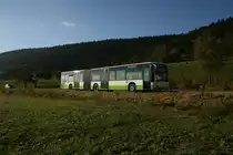 Wagen 227 (2002) wird noch ein oder zwei Jahre �berleben und hat deshalb als erster alter TRN-Bus im Val-de-Ruz das neue Design erhalten. Das Bild zeigt den Wagen am 21.10.2010 bei Dombresson, unterwegs nach Villiers. 