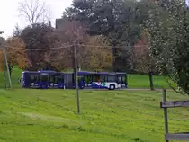 VZO-Mercedes Citaro NR.103 f�hrt �bers Land zwischen Hombrechtikon und Gr�ningen am 22.10.10 