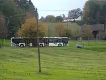 VZO-Mercedes Citaro Nr. 119 * Weiss * f�hrt auf Dienstfahrt zum Depot nach Gr�ningen am 22.10.10 